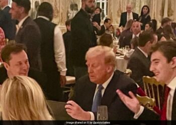 Elon Musk Reveals What He Discussed With Barron Trump At Thanksgiving Dinner