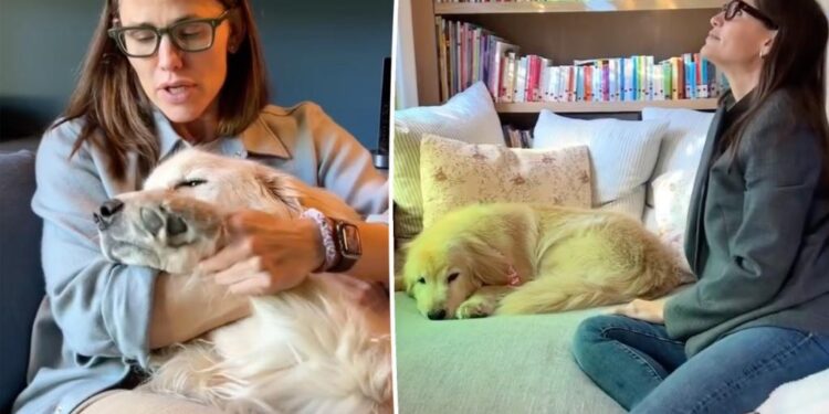 Jennifer Garner's 9-year-old golden retriever, Birdie, dies