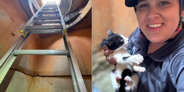 Rescuer Descends Into Pipe, Crawls 150 Feet To Save Kitten