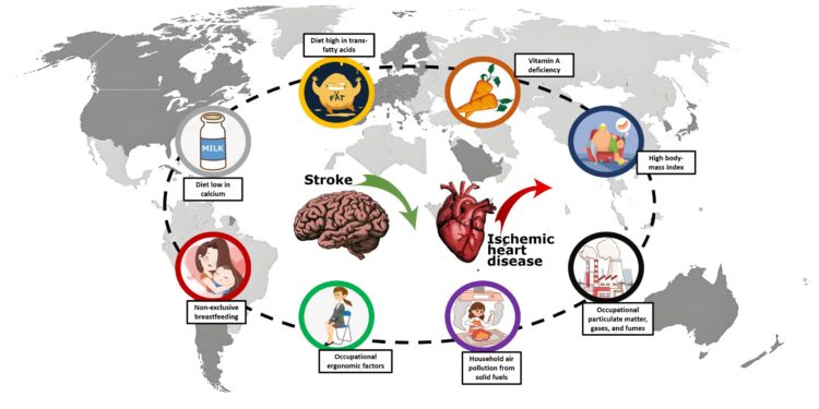 Research highlights disparities in heart disease, stroke trends worldwide