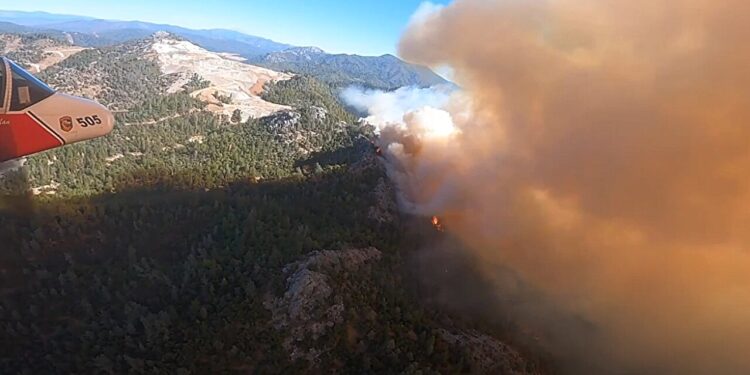 Research links wildfire smoke exposure with increased dementia risk