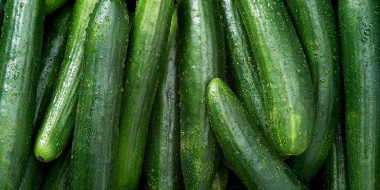 Salmonella Outbreak Linked To Cucumbers Infects 68