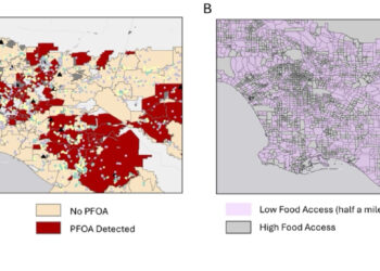 Study finds health disparities in PFAS levels linked to drinking water, food access and industrial pollution