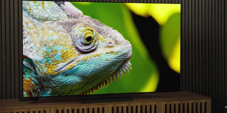 The LG C4, one of the best TVs for most people, is on sale during Black Friday