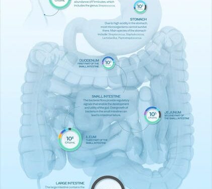 Your Friends Might Be Influencing Your Gut Microbiome: Study