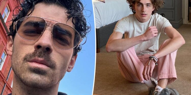 Joe Jonas claims Timothée Chalamet ghosted him for a year