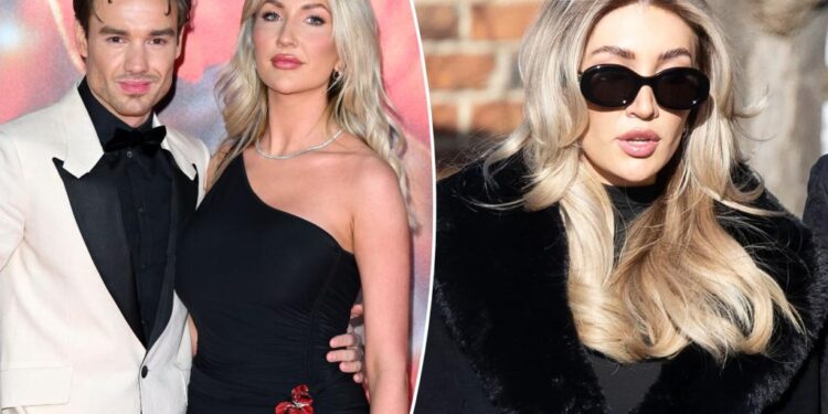 Liam Payne paid up to $35K a month for Kate Cassidy's expenses